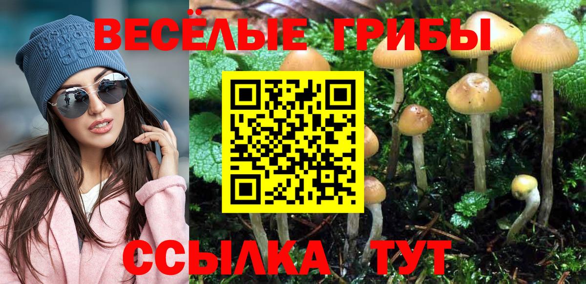 Галлюциногенные грибы Cubensis Ишим