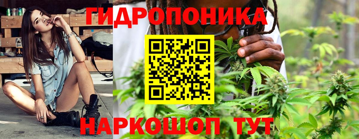 Шишки марихуана VHQ Ишим